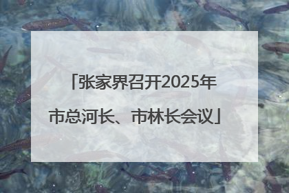 张家界召开2025年市总河长、市林长会议