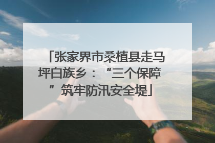 张家界市桑植县走马坪白族乡：“三个保障”筑牢防汛安全堤