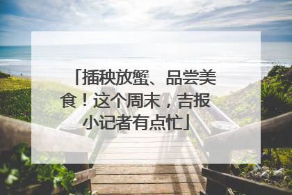 插秧放蟹、品尝美食！这个周末，吉报小记者有点忙