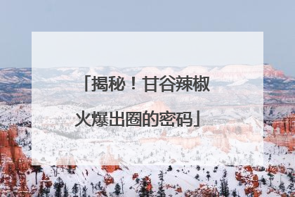 揭秘！甘谷辣椒火爆出圈的密码
