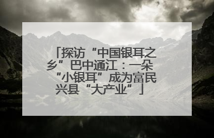 探访“中国银耳之乡”巴中通江：一朵“小银耳”成为富民兴县“大产业”