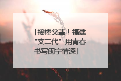接棒父辈！福建“支二代”用青春书写闽宁情深