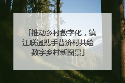 推动乡村数字化，镇江联通携手普济村共绘数字乡村新图景