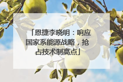 恩捷李晓明：响应国家系能源战略，抢占技术制高点