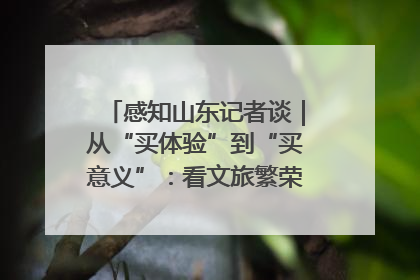 感知山东记者谈｜从“买体验”到“买意义”：看文旅繁荣背后的幸福新定义