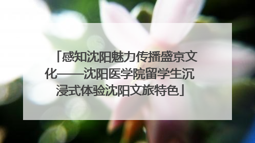 感知沈阳魅力传播盛京文化——沈阳医学院留学生沉浸式体验沈阳文旅特色