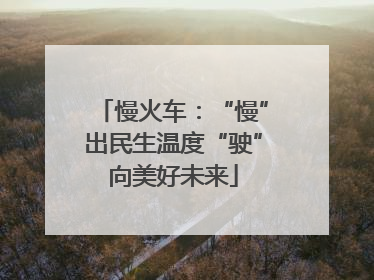 慢火车：“慢”出民生温度“驶”向美好未来