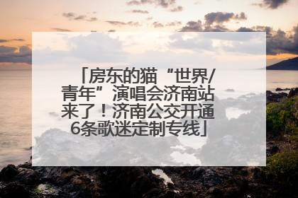 房东的猫“世界/青年”演唱会济南站来了！济南公交开通6条歌迷定制专线