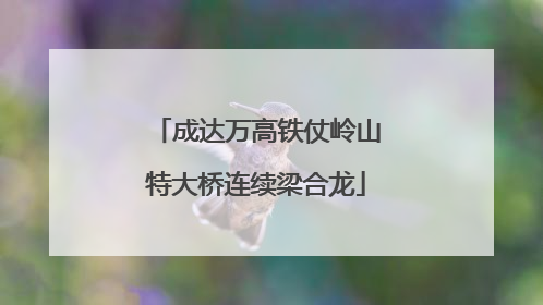 成达万高铁仗岭山特大桥连续梁合龙