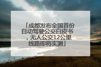成都发布全国首份自动驾驶公交白皮书，无人公交12公里线路即将实测