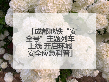 成都地铁“安全号”主题列车上线 开启环城安全应急科普