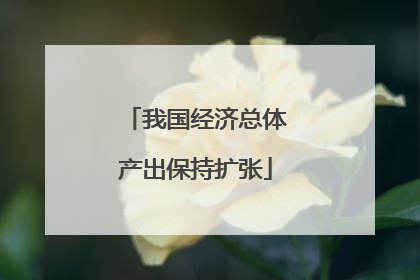 我国经济总体产出保持扩张