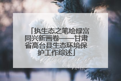 执生态之笔绘绿富同兴新画卷——甘肃省高台县生态环境保护工作综述