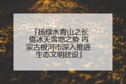 扬绿水青山之长 借冰天雪地之势 内蒙古根河市深入推进生态文明建设