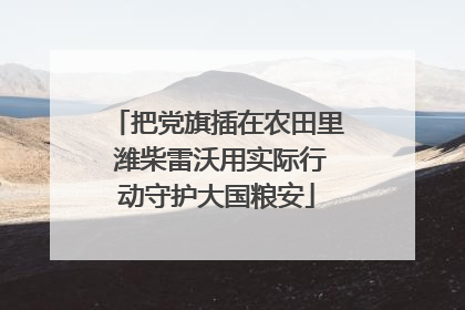把党旗插在农田里 潍柴雷沃用实际行动守护大国粮安