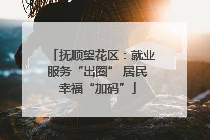 抚顺望花区：就业服务“出圈” 居民幸福“加码”