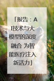 报告：AI技术与大模型的深度融合 为智能医疗注入新活力