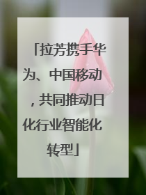 拉芳携手华为、中国移动，共同推动日化行业智能化转型