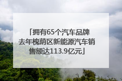 拥有65个汽车品牌 去年槐荫区新能源汽车销售额达113.9亿元