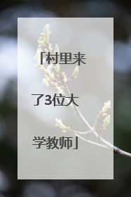 村里来了3位大学教师