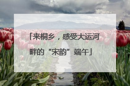 来桐乡，感受大运河畔的“宋韵”端午