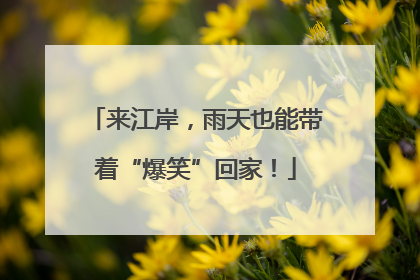 来江岸，雨天也能带着“爆笑”回家！