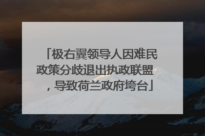 极右翼领导人因难民政策分歧退出执政联盟，导致荷兰政府垮台