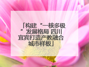 构建“一核多极”发展格局 四川宜宾打造产教融合城市样板
