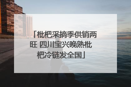 枇杷采摘季供销两旺 四川宝兴晚熟枇杷冷链发全国