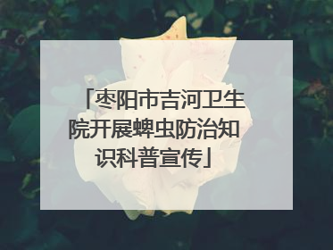 枣阳市吉河卫生院开展蜱虫防治知识科普宣传