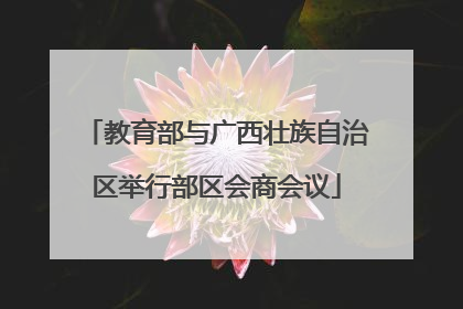 教育部与广西壮族自治区举行部区会商会议