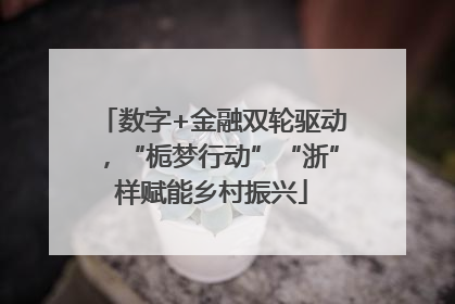 数字+金融双轮驱动，“栀梦行动”“浙”样赋能乡村振兴
