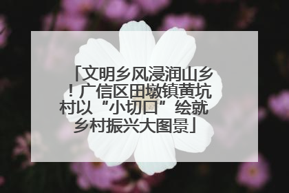 文明乡风浸润山乡！广信区田墩镇黄坑村以“小切口”绘就乡村振兴大图景