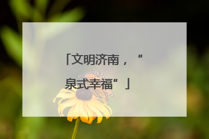 文明济南，“泉式幸福”