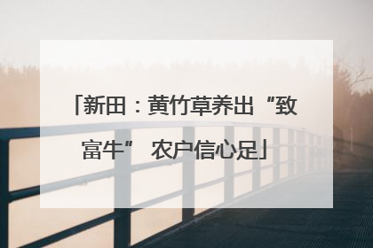 新田：黄竹草养出“致富牛” 农户信心足