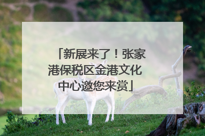 新展来了！张家港保税区金港文化中心邀您来赏