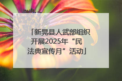 新晃县人武部组织开展2025年“民法典宣传月”活动