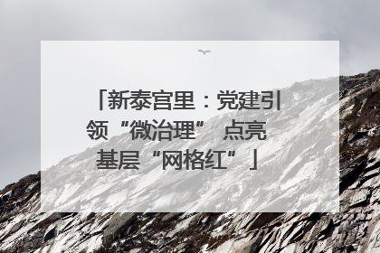 新泰宫里：党建引领“微治理” 点亮基层“网格红”