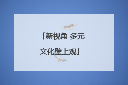 新视角 多元文化壁上观