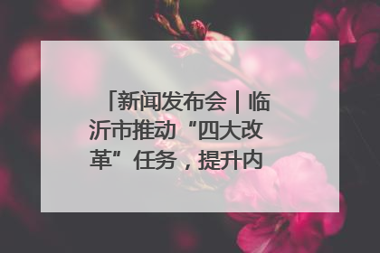 新闻发布会｜临沂市推动“四大改革”任务，提升内部审计监督效能
