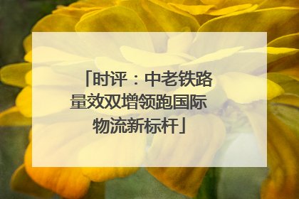 时评：中老铁路量效双增领跑国际物流新标杆