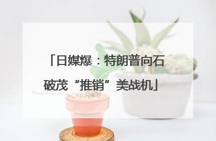 日媒爆：特朗普向石破茂“推销”美战机