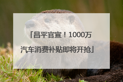 昌平官宣！1000万汽车消费补贴即将开抢
