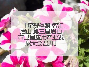 星耀丝路 智汇眉山 第三届眉山市卫星应用产业发展大会召开