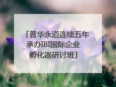 普华永道连续五年承办IBI国际企业孵化器研讨班