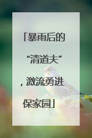 暴雨后的“清道夫”，激流勇进保家园