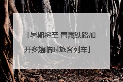 暑期将至 青藏铁路加开多趟临时旅客列车
