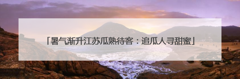 暑气渐升江苏瓜熟待客：追瓜人寻甜蜜