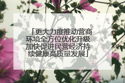 更大力度推动营商环境全方位优化升级加快促进民营经济持续健康高质量发展
