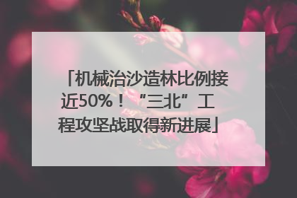 机械治沙造林比例接近50%！“三北”工程攻坚战取得新进展